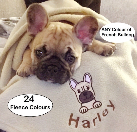 frenchie dog blanket