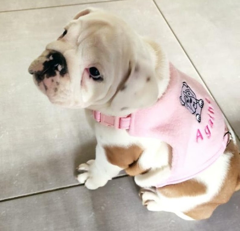 Dog Harness No Rub Under Front Legs Made to Measure Soft Dog Etsy