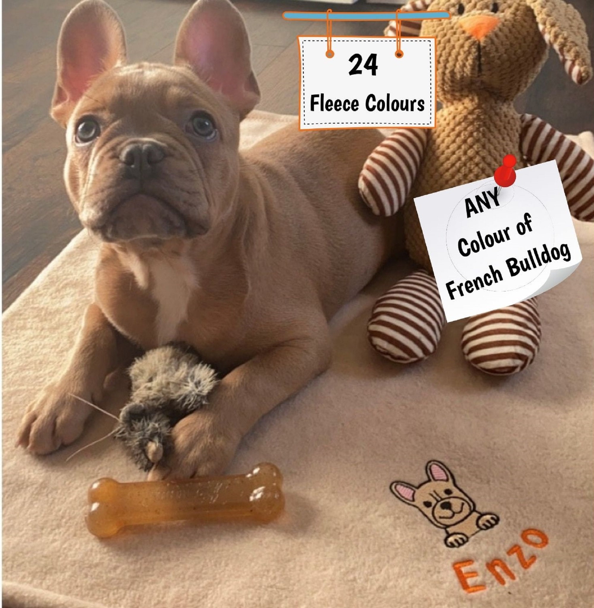 How To Make A French Bulldog Throw Up