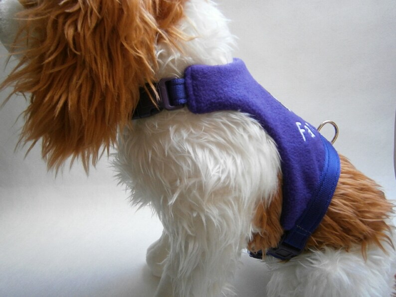Cavalier King Charles Spaniel Harness No Rub Fleece Harness Etsy