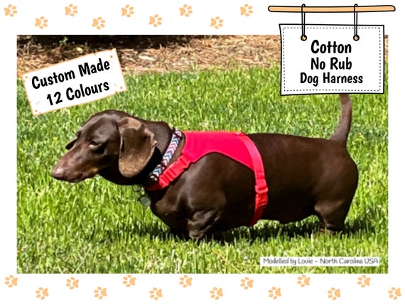 Etsy harness dog outlet