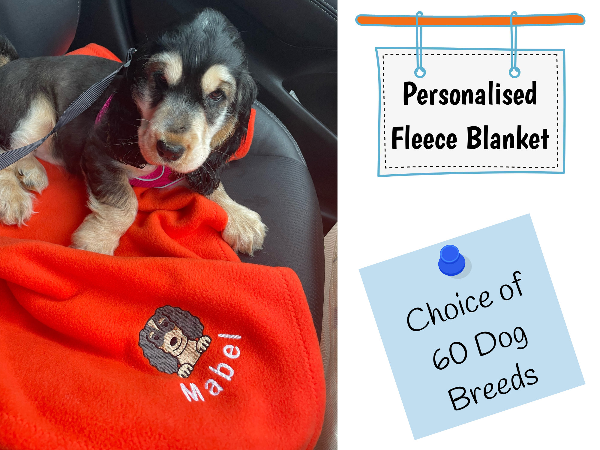 Why Do Dogs Bury Bones In Blankets