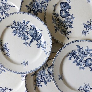 Dinner plates Faience Blue Transferware made by Sarreguemines France , pattern Favori image 1