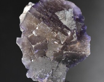 Puede incluir: Primer plano de un espécimen mineral de fluorita. La estructura cristalina muestra una mezcla de formaciones cristalinas de color púrpura oscuro, gris y transparente. El mineral se asienta sobre una base gris oscuro sobre un fondo negro.