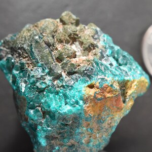Dioptase Crystal Mineral Specimen D.R. Congo