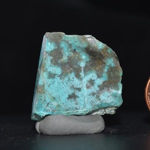 May include: A close-up of a turquoise and brown mineral specimen. The stone has a rough, textured surface and is resting on a gray base. The mineral's colors range from bright turquoise to dark brown.