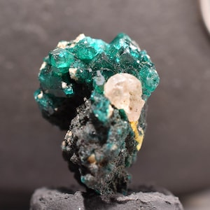 Dioptase Crystal Mineral Specimen D.R. Congo