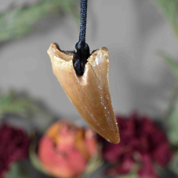 Dinosaur fossil tooth Pendant Mosasaur Tooth Pendant Fossil Tooth Pendant Necklace