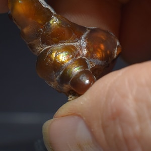 May include: A polished gemstone in shades of amber and brown, with iridescent patches of gold and green. The stone's textured surface catches the light, revealing its unique form. The gemstone is held between fingers, highlighting its natural beauty.
