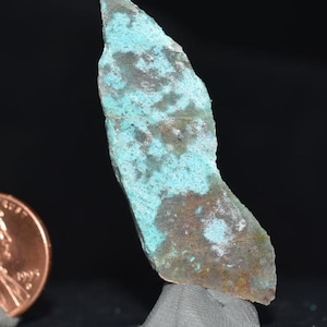 May include: A rough-edged, irregularly shaped stone with a mottled surface. The stone displays a mix of colors, including teal, brown, and gray. The stone is propped up on a gray base, and a penny is visible in the background.