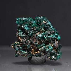 Dioptase Crystal Mineral Specimen D.R. Congo