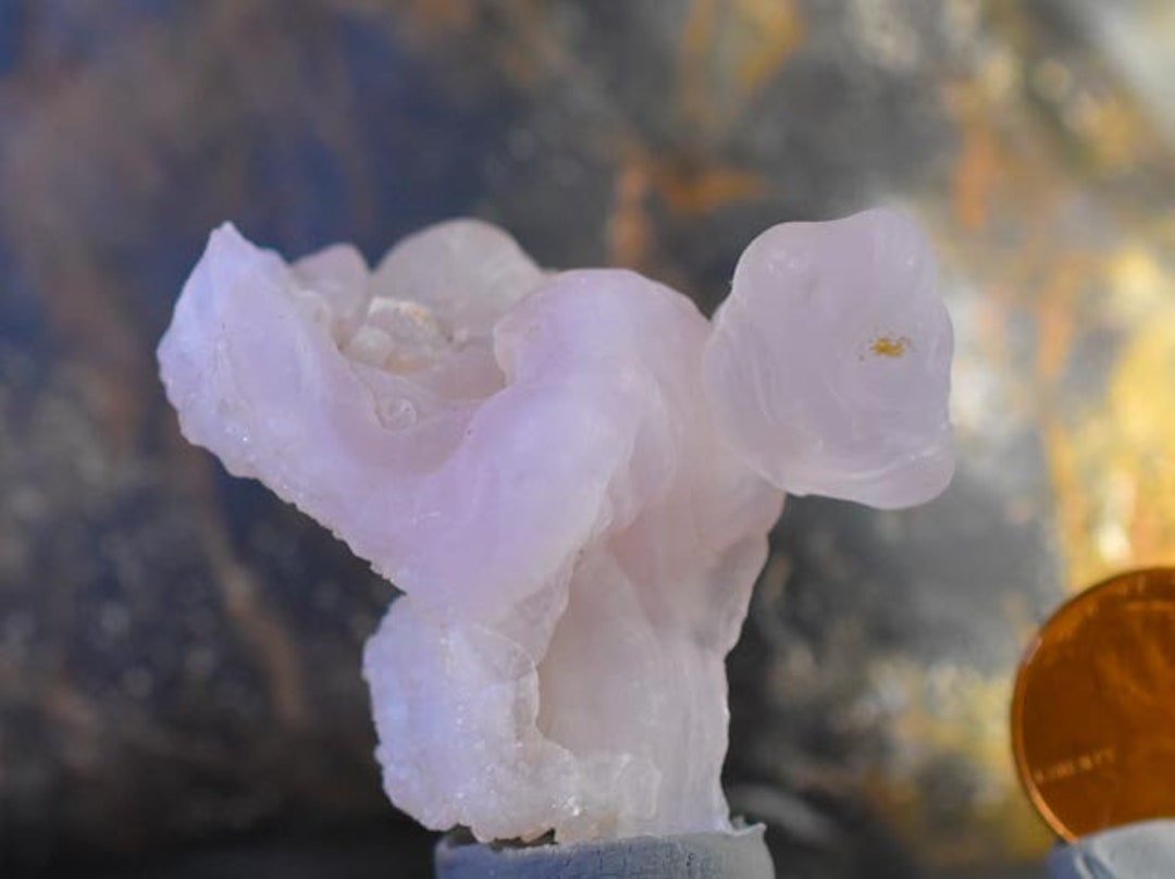 Rose Apate Desert Rose Agate Specimen , Pink Desert Rose Chalcedony , - Etsy