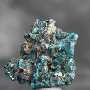 Dioptase Crystal Mineral Specimen D.R. Congo