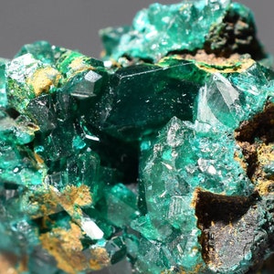 Dioptase Crystal Mineral Specimen D.R. Congo