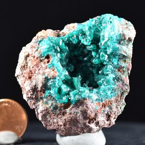 Dioptase Crystal Mineral Specimen D.R. Congo