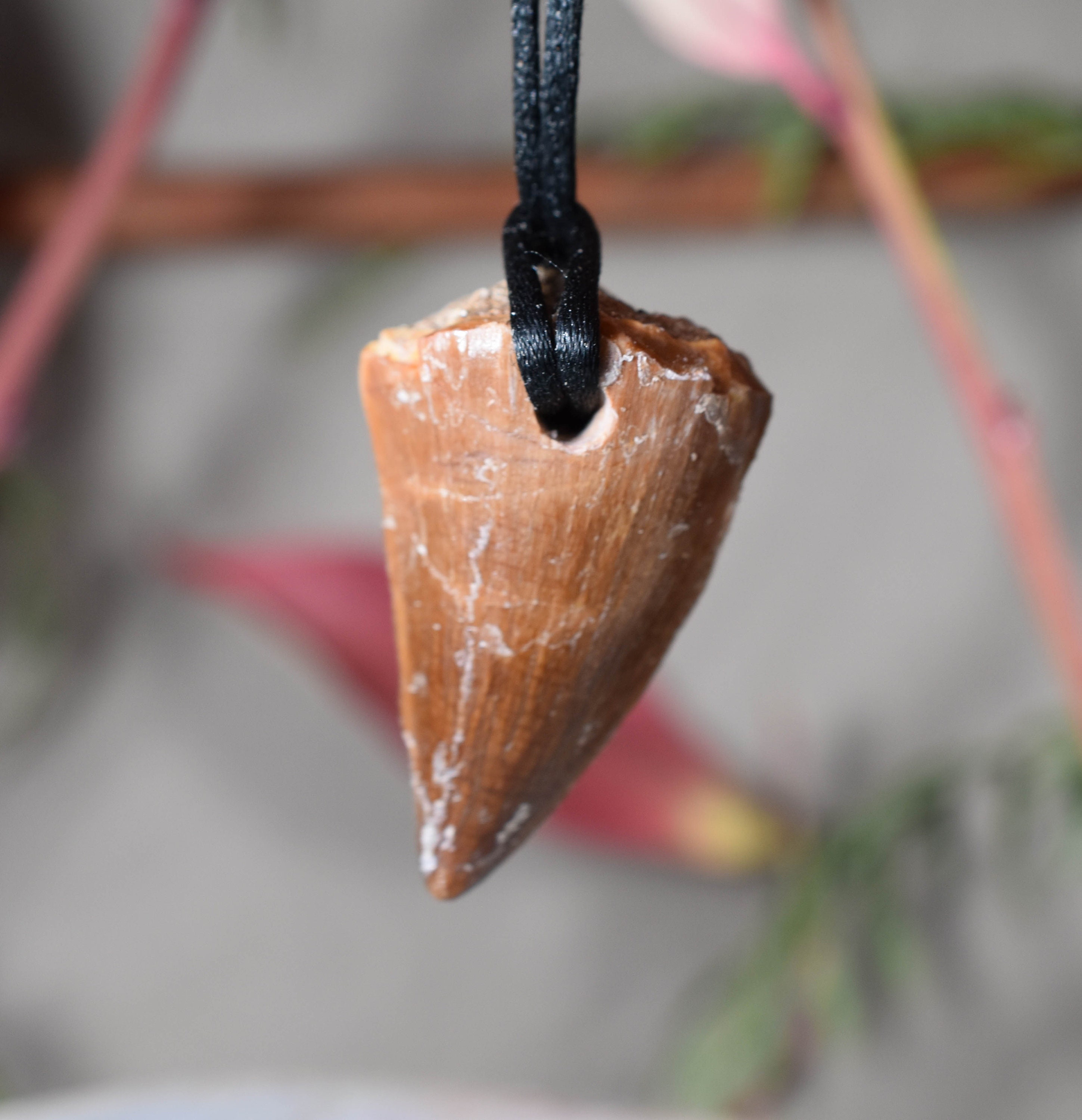 Spinosaurus Tooth Pendant // Ver. 3 - Astro West - Touch of Modern