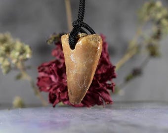 Dinosaur fossil tooth Pendant Mosasaur Tooth Pendant Fossil Tooth Pendant  Necklace