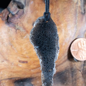 Dinosaur Bone Necklace,Dinosaur Agate Bone Pendant,Fossil Dinosaur pendant