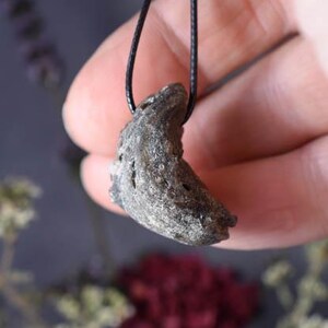Puede incluir: Un colgante gris en forma de media luna hecho de coral fosilizado, colgando de un cord&oacute;n negro.