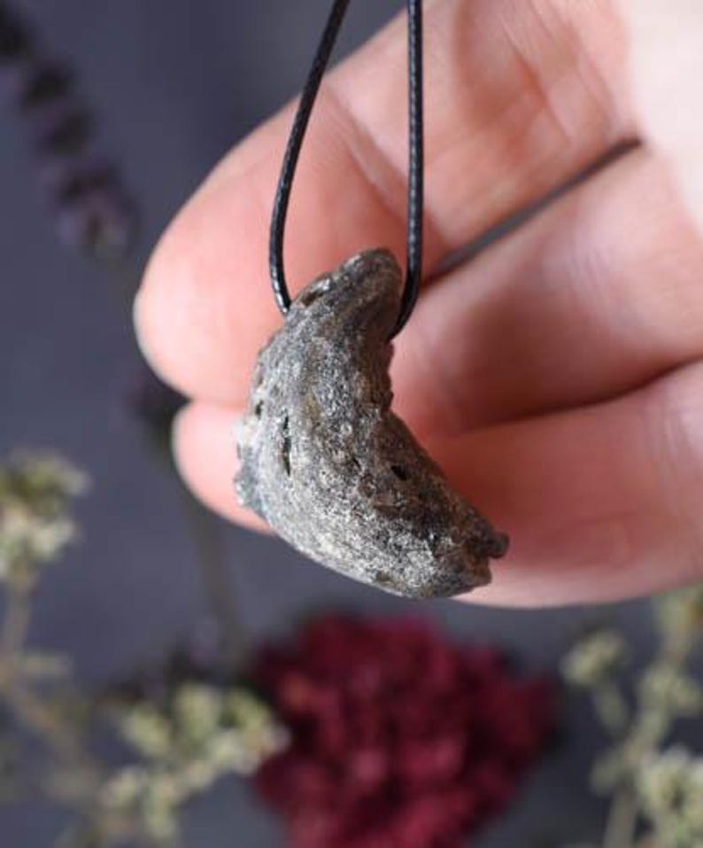 Puede incluir: Un colgante gris en forma de media luna hecho de coral fosilizado, colgando de un cord&oacute;n negro.