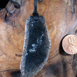 Dinosaur Bone Necklace,Dinosaur Agate Bone Pendant,Fossil Dinosaur pendant