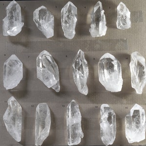 Lemurian Seed   Lemurian Quartz  Brazil Lemurian Crystal   Clear Lemurian Point