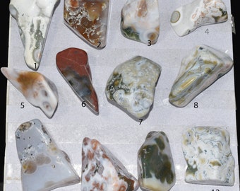 May include: A collection of twelve polished agate stones, each with unique patterns and colors. The stones vary in shape and size, with colors including white, brown, red, green, and gray. The stones are displayed on a white surface.