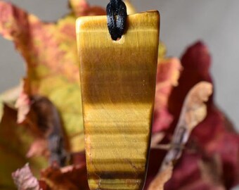May include: A rectangular tiger's eye pendant with a black cord. The pendant has horizontal bands of brown and gold. The background features blurred autumn leaves in shades of red, orange, and yellow.