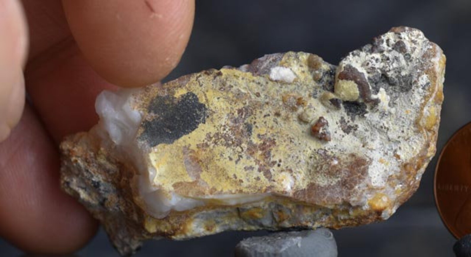 Precious opal rough Spencer Idaho USA | Etsy