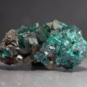 Dioptase Crystal Mineral Specimen D.R. Congo