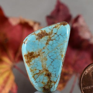 Spider web Turquoise Cabochon From Number 8 Mine Nevada