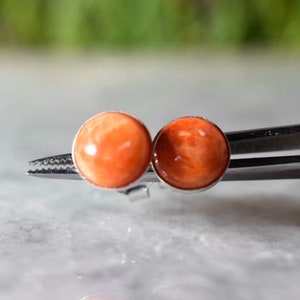 Spiny oyster earrings, Spiny oyster round cabochon earrings ,Spiny oyster  Bezel  set sterling post earrings