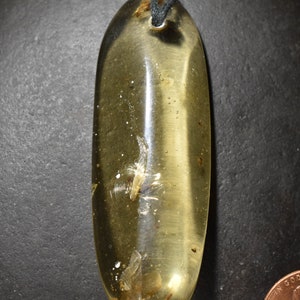 Amber Pendant Copal Columbian  hand polished natural stone Bead with insect fossils
