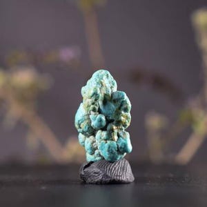 Turquoise rough Nugget specimen, Natural Lone Mountain Mine Nevada, blue turquoise Nugget