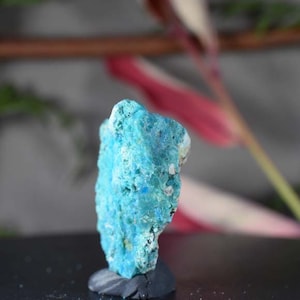 Op de afbeelding: Een levendig, turquoise gekleurd mineraal specimen met een ruw, getextureerd oppervlak. De steen is gemonteerd op een donkergrijze basis, die de natuurlijke schoonheid benadrukt. De achtergrond bevat wazig groen en roze accenten.