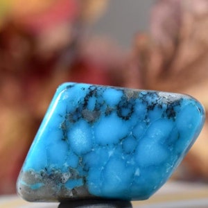 TURQUOISE Spinnenweb CABOCHON Waterweb Turquoise uit Kingman Mine Arizona