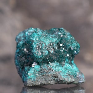 Dioptase Crystal Mineral Specimen D.R. Congo