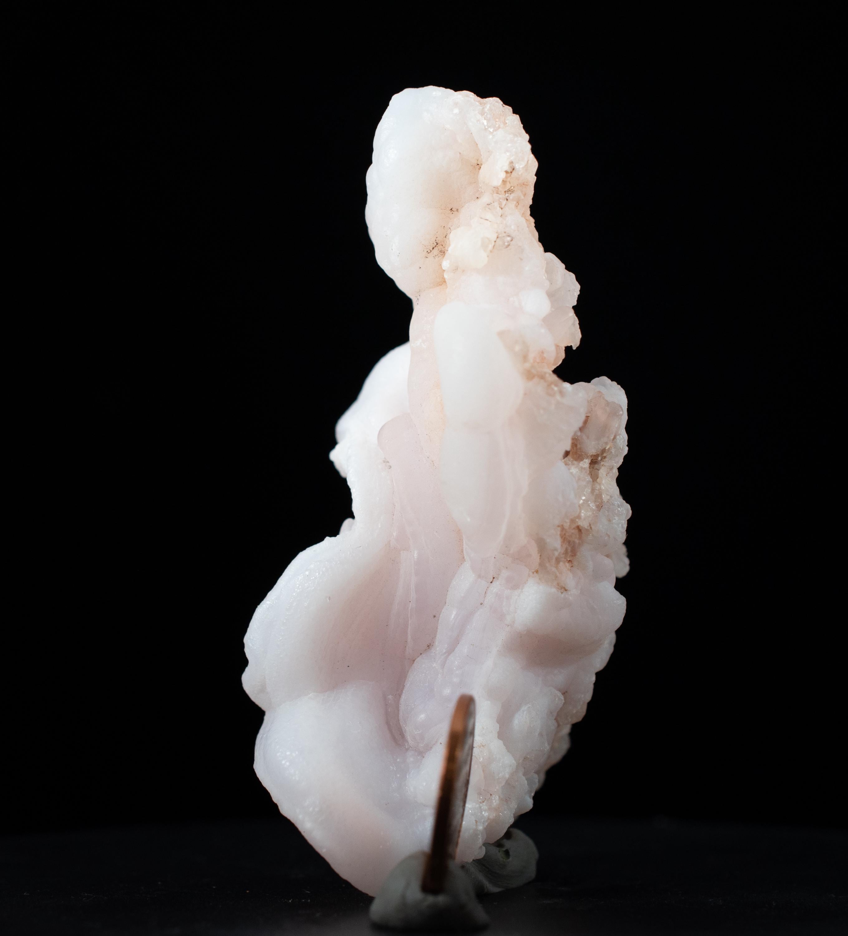 SCULPTOR】Rose Camisole Raw Ice SCULPTOR】Rose Camisole Raw Ice