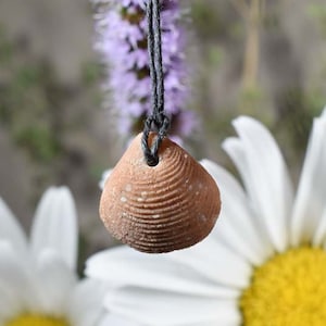 Fossil Clam Pendant Moroccan fossil clam necklace