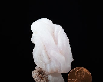 Esemplare di Agata Rosa del Deserto, Rosa Rosa Del Deserto Calcedonio,