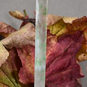 May include: A rectangular jade pendant with a black cord. The pendant is primarily white with green and translucent areas. The background features colorful autumn leaves in shades of red, yellow, and brown.