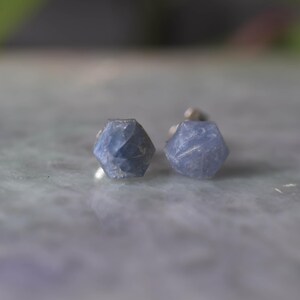 Può includere: Un paio di orecchini a lobo in pietra preziosa blu chiaro. Ogni orecchino presenta un design geometrico sfaccettato. Gli orecchini sono montati su perni d'argento. Lo sfondo è sfocato e di colore neutro.