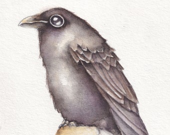 Little Black Crow * from the Virtual Bird Tour 2020 *Fine Art Print of Original Watercolor Painting by Cori Derfus