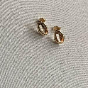 Gold filled cowrie shell studs, gold filled earrings, cowrie shell earrings, stud earrings, gold filled stud earrings image 3