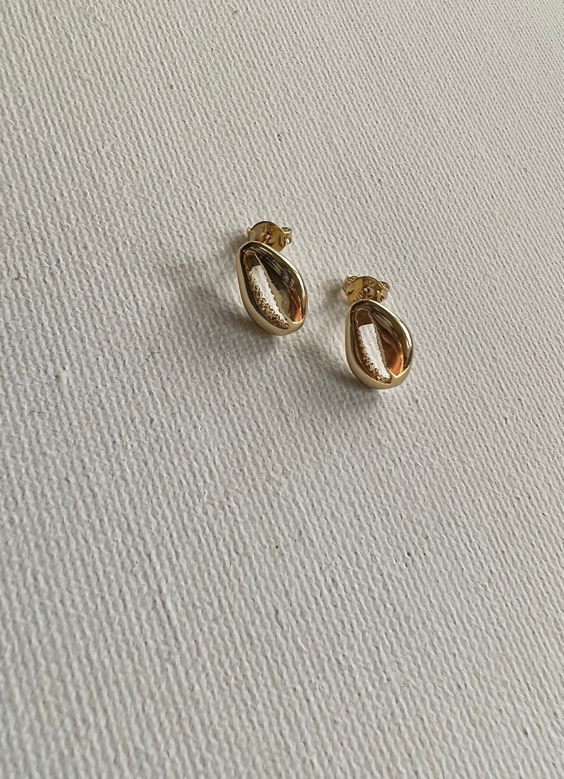 Gold filled cowrie shell studs, gold filled earrings, cowrie shell earrings, stud earrings, gold filled stud earrings image 3