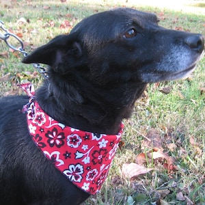 Peut inclure: Un chien noir portant un bandana rouge avec un imprim&eacute; floral blanc et noir. Le bandana est nou&eacute; autour du cou du chien.