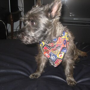 Peut inclure: Un chien terrier noir et gris portant un bandana color&eacute; avec diff&eacute;rents motifs. Le bandana a un fond bleu avec des accents rouges, jaunes et blancs.