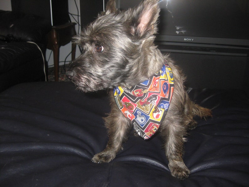 Peut inclure: Un chien terrier noir et gris portant un bandana color&eacute; avec diff&eacute;rents motifs. Le bandana a un fond bleu avec des accents rouges, jaunes et blancs.