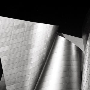 Walt Disney Concert Hall Black & White Photo, Los Angeles Photo Print, Abstract Wall Decor, Architecture Photography