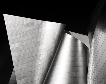 Walt Disney Concert Hall Black & White Photo, Los Angeles Photo Print, Abstract Wall Decor, Architecture Photography